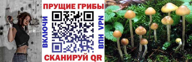 Галлюциногенные грибы Magic Shrooms  хочу   дарк нет официальный сайт  Малоархангельск 
